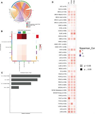 Dissecting Immunosuppressive Cell Communication Patterns Reveals JunB Proto-Oncogene (JUNB) Shaping a Non-Inflamed Tumor Microenvironment